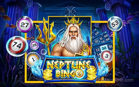 6623a Neptune Bingo